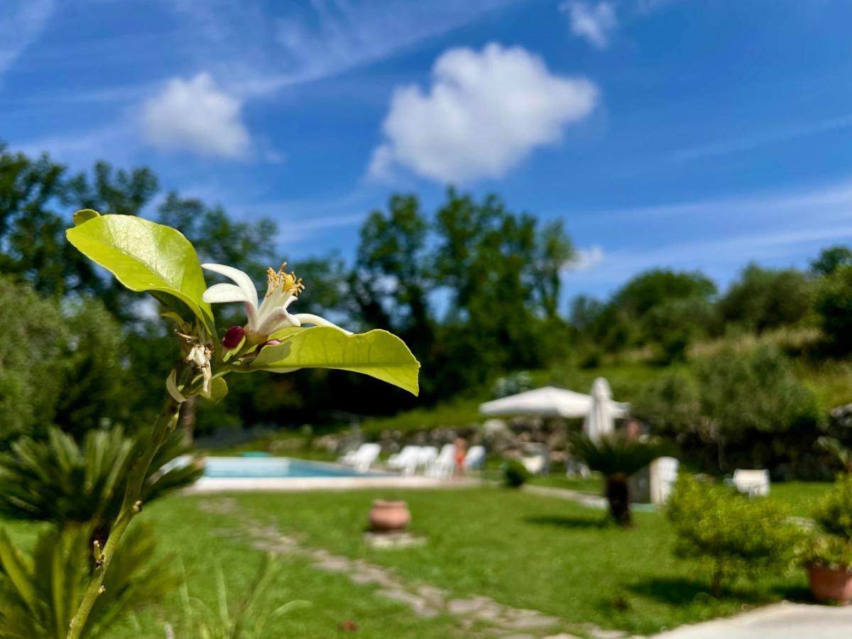 Villa Con Piscina Donna Romina SantʼAgata deʼ Goti Esterno foto